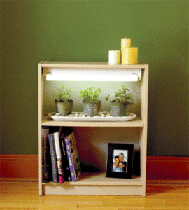 Add ambient light to a bookcase