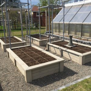 Prepping the square foot grids in late May 2015