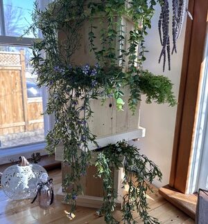 Small Planter Boxes - Handmade Locally