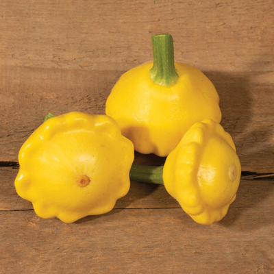 Squash - Patty Pan "Lemon Sun" 2pk vines
